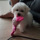선 동물병원 이미지