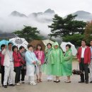 단양팔경(부산) 이미지