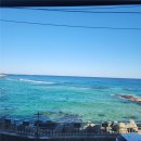 설악동물병원 | 강릉 여행 갔다가 환자 된 썰 푼다