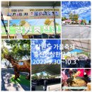 홍천 인삼 한우 명품축제 가볼만한곳 인삼캐기 요리 체험(fet시골투어)