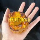 토토네 | 제주 애월, 에그타르트 맛집 :: 토토네 TOTONE | 내돈내산 솔직후기