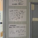 고양체형피부관리실