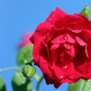 국우석한의원 이미지