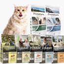 현미프로헤어 이미지