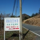 힛도농장 Daum카페