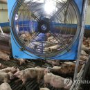 (주)모두닭