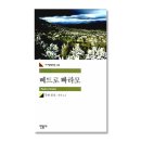후안 룰포 「뻬드로 빠라모」 후기: 낯선 구조, 새로운 시각