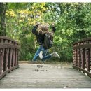 성원행정사 사무소 이미지