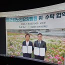 진품명품 이미지