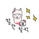 강릉고기무한리필황제맛소