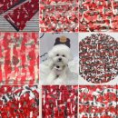 왁사몰 | 거기숨지말고얼른나왁