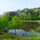 자연수변공원 이미지