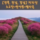 노고단 | [전북/전남/경북] 지리산 노고단 털진달래와 반야봉 종주(성삼재~노고단~반야봉~뱀사골) 상세후기