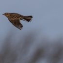 맨 케이브 이미지