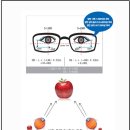 다비치안경 신서귀포이마트 옆점 이미지