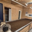 금화에너지 | 자연의 에너지를 듬뿍 받고 온 양산효소찜질, 금화효소원 양산점