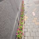 송파산모건강증진센터산후조리원 이미지