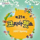 코리아 애견 이미지