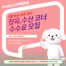 주식회사 마켓토마토