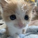 뉴 마로니에 | 미지의 3월 저편