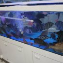 광려천 동로 이미지