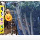 혜진네포도원 이미지