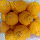 지안농장 이미지