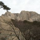 아포중학교 이미지