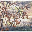 지리산청정농산