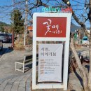 꽃메4281