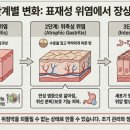 화생약국 네이버블로그
