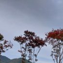 일동실내골프연습장 이미지