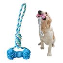 덴탈투유 이미지