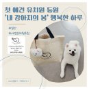 내 강아지의 봄 일산애견유치원&애견호텔 | [경기 고양] 일산 애견유치원 내 강아지의 봄 | 만두의 첫 사회생활 시작!