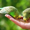 장미원내부 화장실 이미지