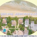콜파킹랜드 | 후아힌 여행객 필독 알린타 후아힌 호텔 추천 & 솔직 후기