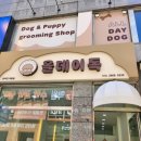 올데이독 이미지