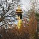 신비의소나무 앞 이미지