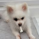 옥공인중개사사무소 이미지