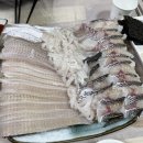 용궁회나라 이미지