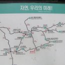 은선 이미지