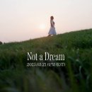 DREAM 이미지