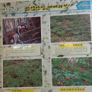 토가식당 이미지