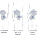 진연합의원 이미지