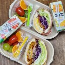 성민교회 | [담도시락 인천직영점] 인천 샌드위치 맛집 샌드위치 과일 1인 세트 방문 포장 후기