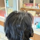 염색 & 두피(포항점)