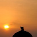 선민목장 이미지