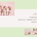 블루밍청춘