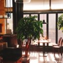 갈릭&페퍼 이미지