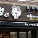 멍그루밍 이미지